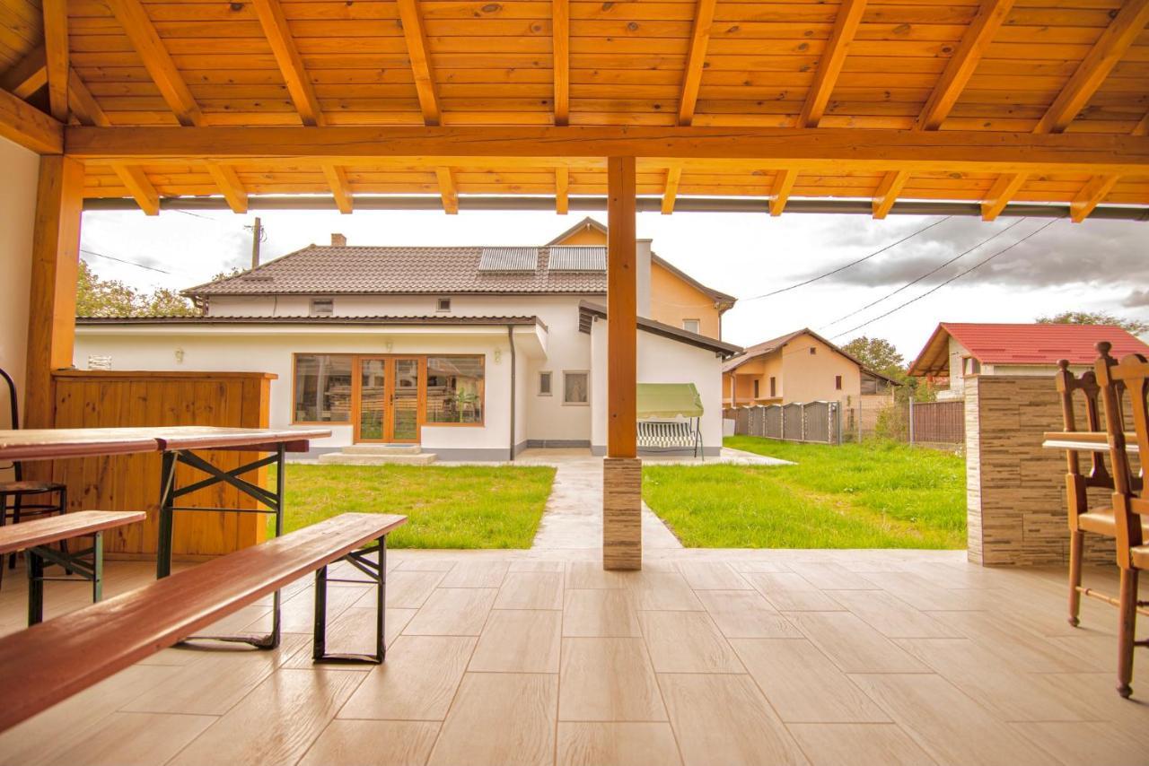 Pensiunea Axenia Ale Vişeu de Sus Exterior foto