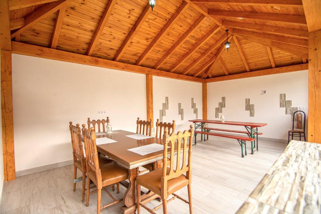 Pensiunea Axenia Ale Vişeu de Sus Exterior foto