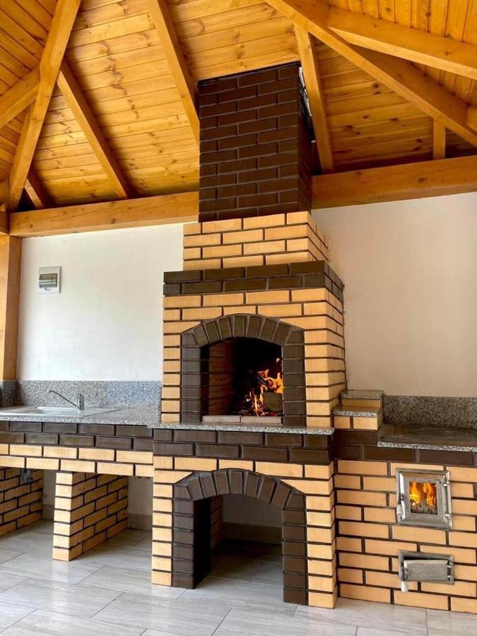 Pensiunea Axenia Ale Vişeu de Sus Exterior foto