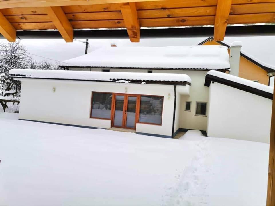 Pensiunea Axenia Ale Vişeu de Sus Exterior foto